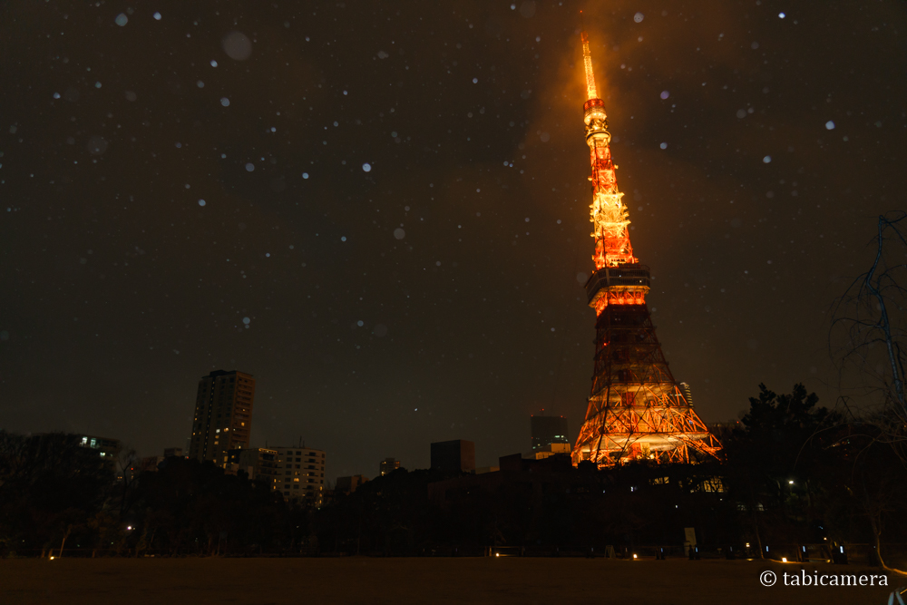 東京タワーと雪