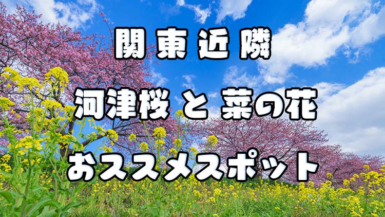 関東近隣 菜の花と河津桜の見ごたえあったおススメスポット 旅かめら