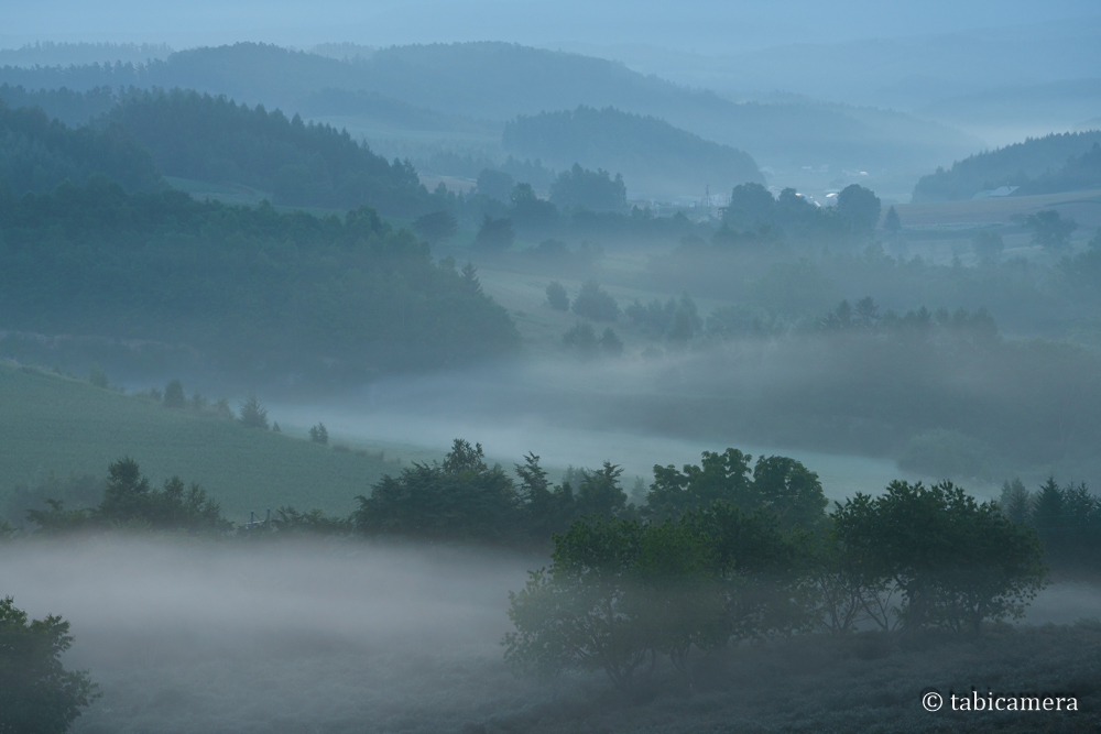早朝の朝霧に包まれる深山峠