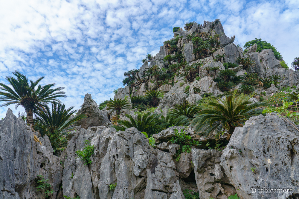 沖縄北部の観光地大石林山の悟空岩