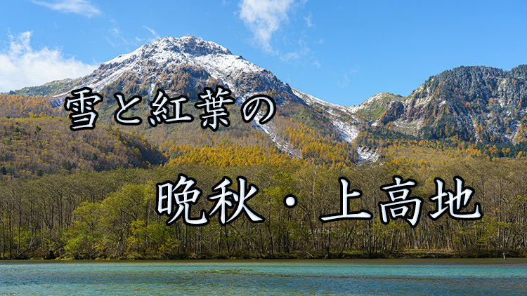 車で関東からgwに北海道へ行ってみた感想とメリット デメリット 八戸航路フェリー 旅かめら