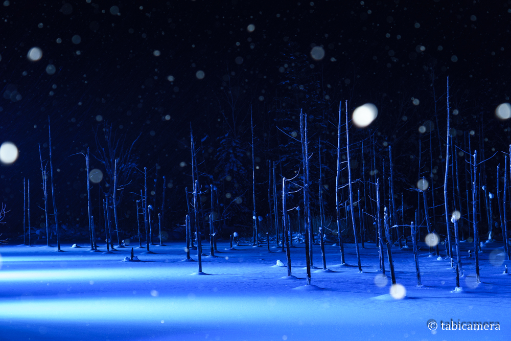 雪降る　青い池ライトアップ