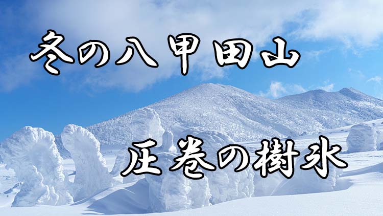 冬の八甲田山 快晴の樹氷をスノーハイクとスキーで楽しむ 日本三大樹氷 青森観光 旅かめら