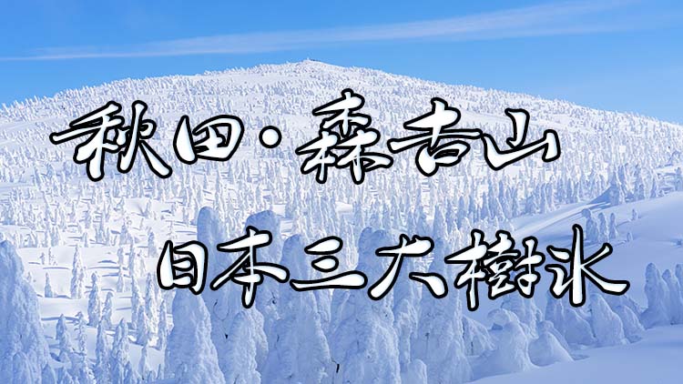 車で関東からgwに北海道へ行ってみた感想とメリット デメリット 八戸航路フェリー 旅かめら