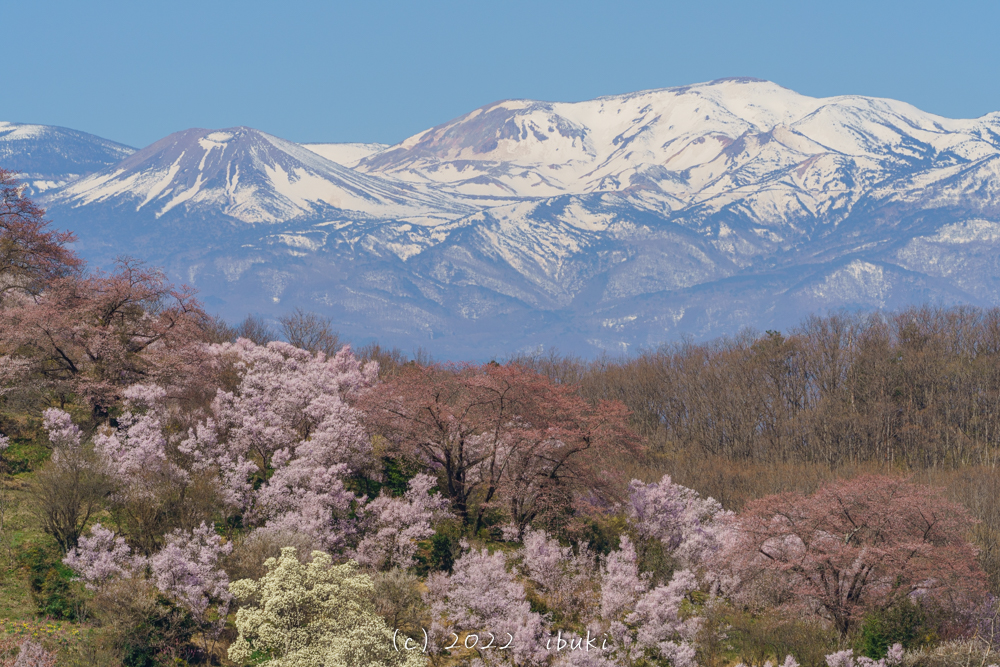 吾妻富士と一切経山と花見山