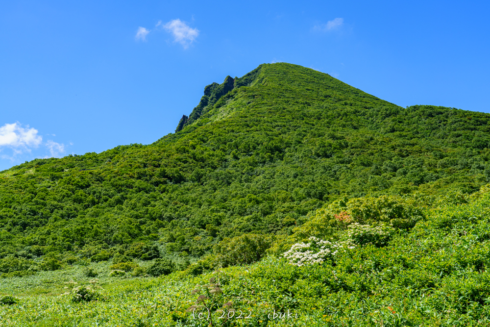 花畑からの磐梯山　
