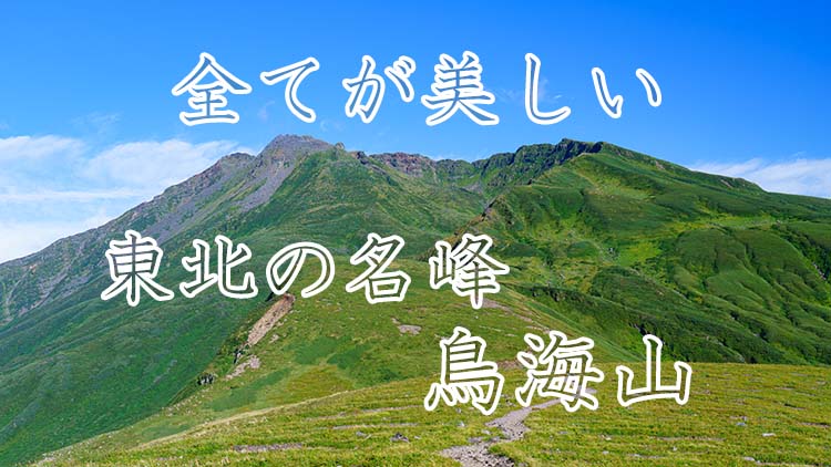 車で関東からgwに北海道へ行ってみた感想とメリット デメリット 八戸航路フェリー 旅かめら