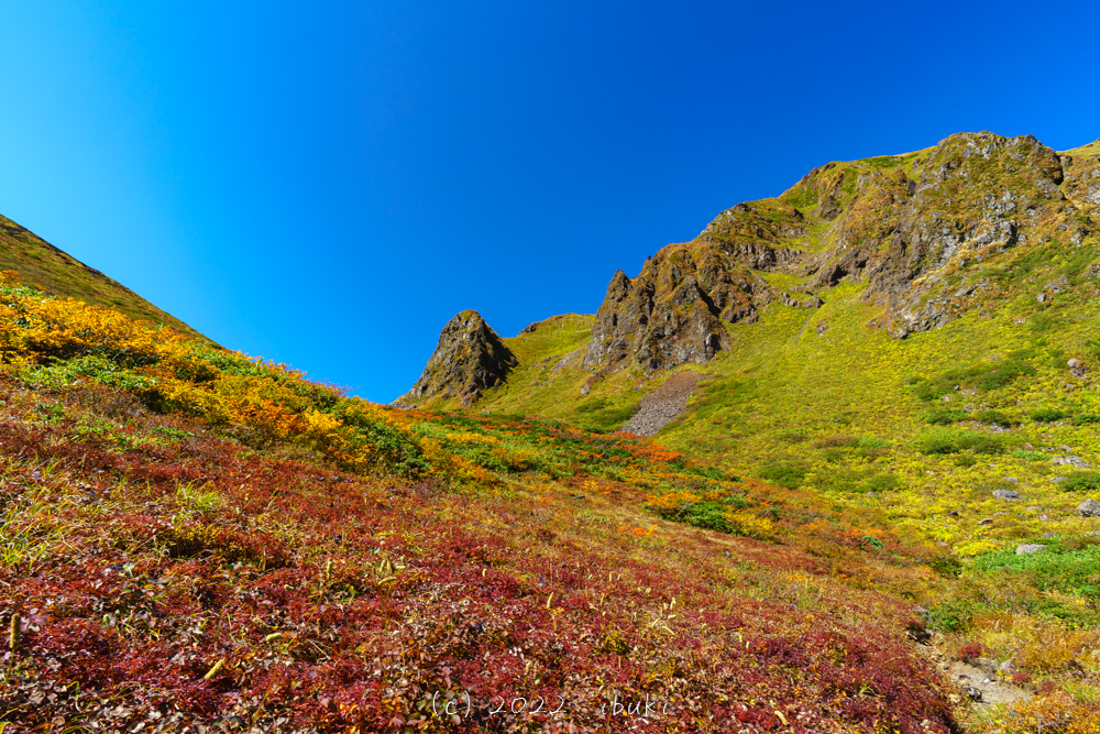紅葉シーズンの秋田駒ケ岳登山　紅葉するムーミン谷