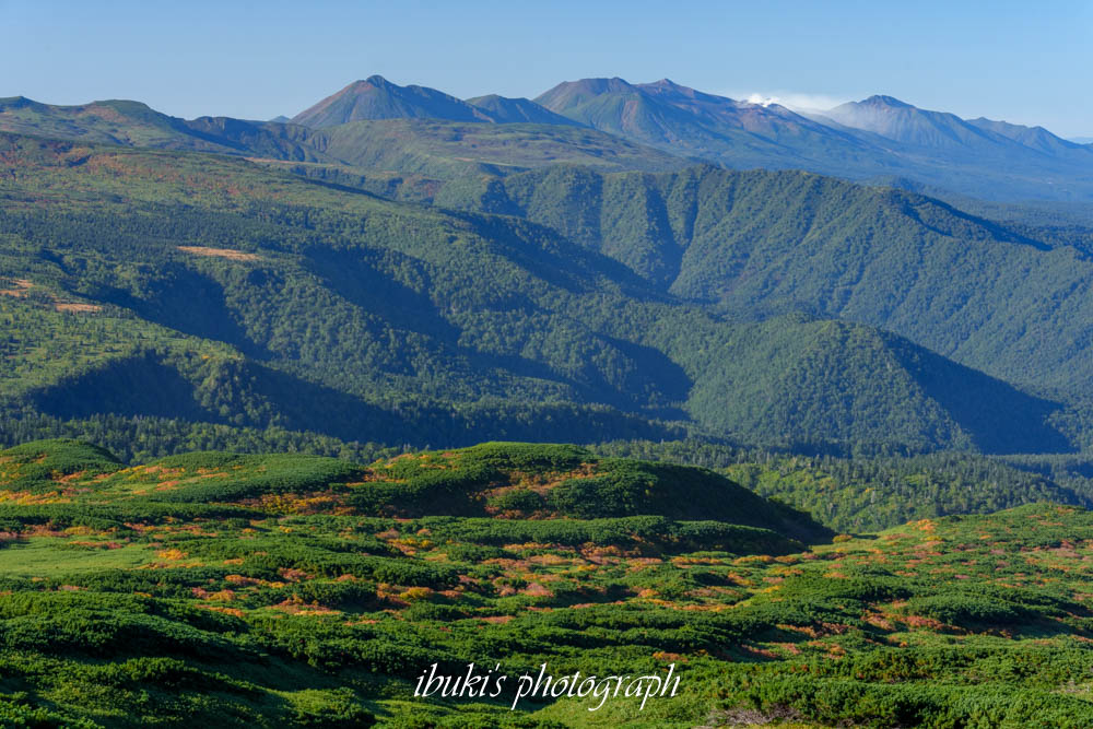 TAMRON 50-300mm F/4.5-6.3 Di III VC VXD作例