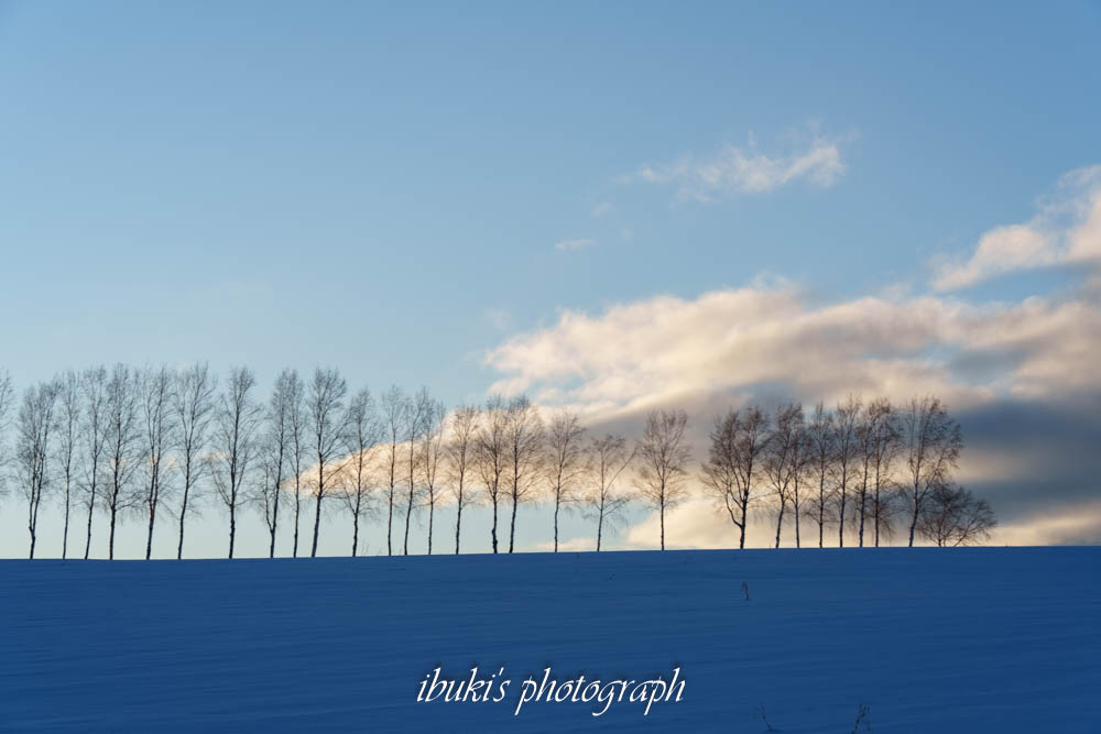 TAMRON 50-300mm F/4.5-6.3 Di III VC VXD作例