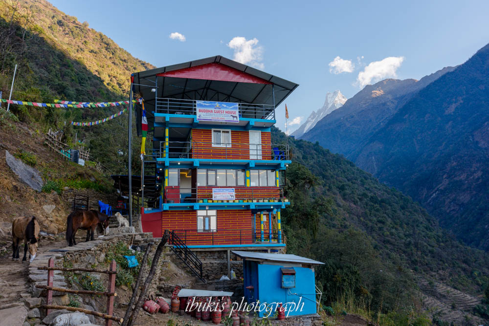 ネパールABCトレッキング 