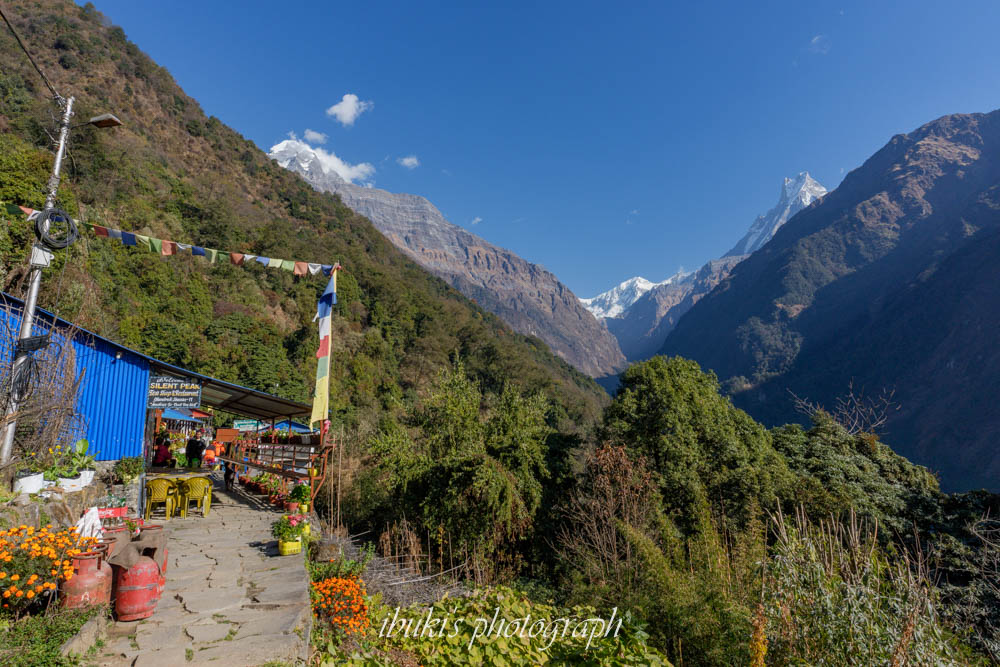 ネパールABCトレッキング 
