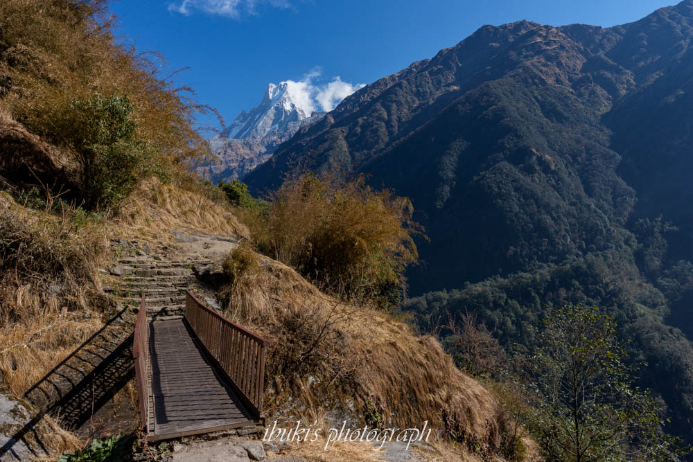 ネパールABCトレッキング 