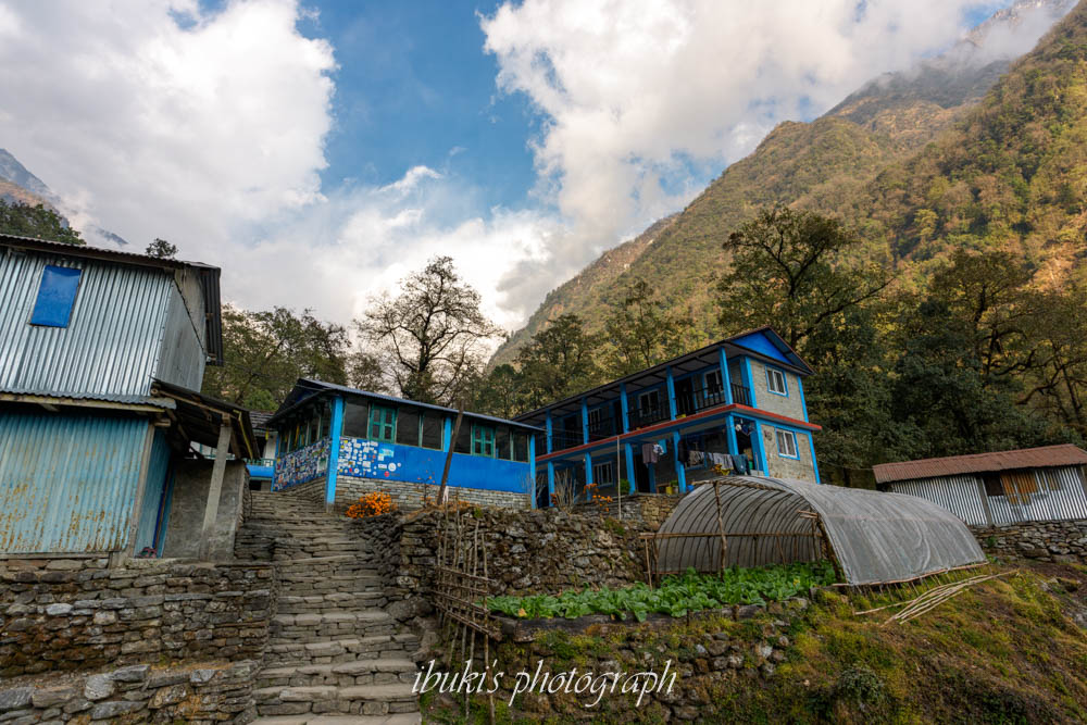 ABCトレッキング　バンブー