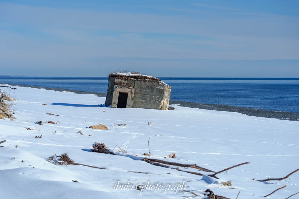 大樹町旭浜のトーチカ群