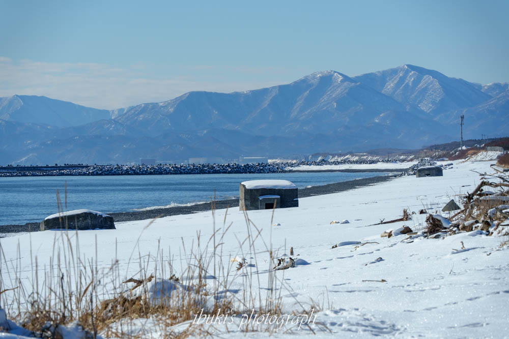 大樹町旭浜のトーチカ群